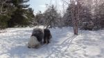 DSC06189.JPG