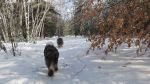 DSC06198.JPG