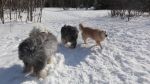 DSC06202.JPG