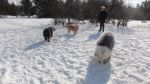 DSC06203.JPG