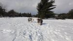 DSC06204.JPG