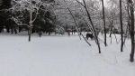 DSC06206.JPG
