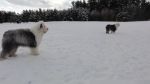 DSC06209.JPG
