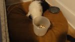 DSC06298.JPG