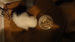 DSC06299.JPG