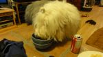 DSC06303.JPG