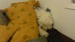 DSC06305.JPG