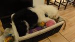 DSC06321.JPG