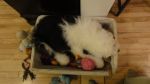 DSC06324.JPG