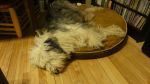 DSC06388.JPG