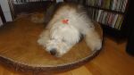 DSC06416.JPG