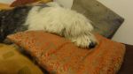DSC06427.JPG