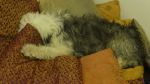 DSC06566.JPG