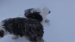 DSC06593.JPG