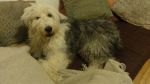 DSC06606.JPG