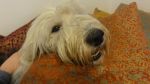 DSC06627.JPG
