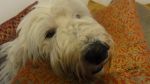DSC06628.JPG