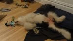 DSC06703.JPG
