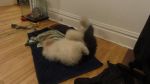 DSC06707.JPG