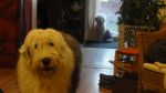 DSC06864.JPG