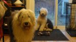 DSC06866.JPG