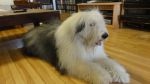 DSC06975.JPG