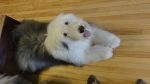 DSC06977.JPG