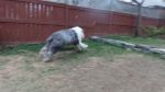 DSC06997.JPG