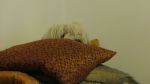 DSC07004.JPG