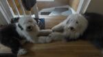 DSC07006.JPG