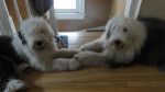 DSC07008.JPG
