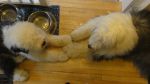 DSC07009.JPG