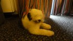 DSC07012.JPG