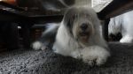 DSC07013.JPG