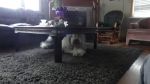 DSC07020.JPG