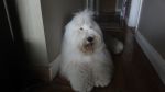 DSC07055.JPG