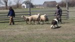 DSC07067.JPG