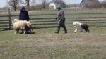 DSC07068.JPG