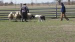 DSC07070.JPG