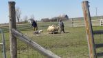 DSC07080.JPG