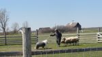 DSC07087.JPG