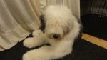 DSC07111.JPG