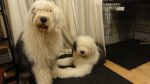 DSC07115.JPG