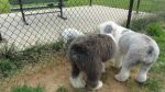 DSC07536.JPG