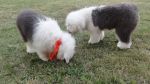 DSC07634.JPG