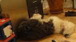 DSC07761.JPG
