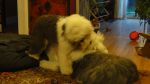 DSC07802.JPG