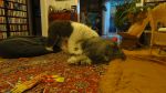 DSC07806.JPG