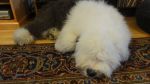 DSC07812.JPG