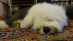 DSC07813.JPG